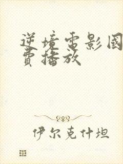 逆境电影国语免费播放