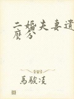 二婚夫妻遗产怎么分