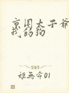 京圈太子爷偷了我的狗