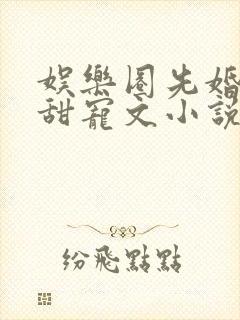 娱乐圈先婚后爱甜宠文小说