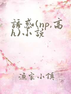 诱惑(np,高h)小说