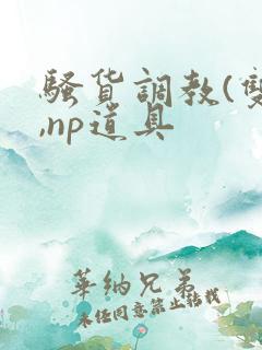 骚货调教(双性,np道具