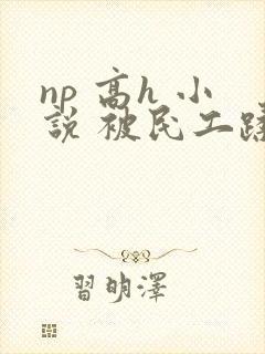 np 高h 小说 被民工蹂躏