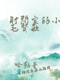 财阀家的小儿子毛贤敏