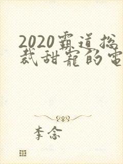 2020霸道总裁甜宠的电视剧
