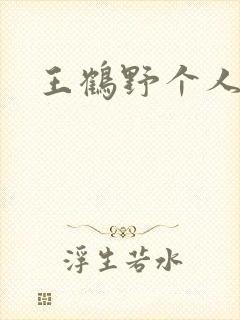 王鹤野个人简介