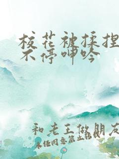 校花被揉捏两乳不停呻吟