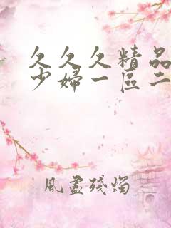 久久久精品人妻少妇一区二区