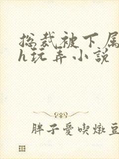 总裁被下属调教h玩弄小说