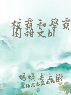 校霸和学霸的校园甜文bl