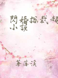 闪婚总裁超宠我小说