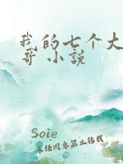 我的七个大佬哥哥 小说
