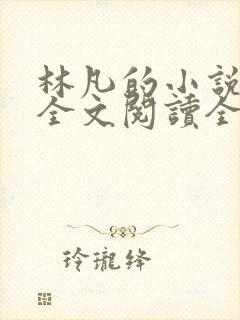 林凡的小说免费全文阅读全文