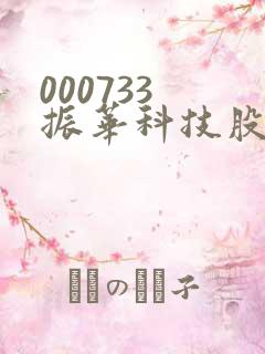 000733 振华科技股吧