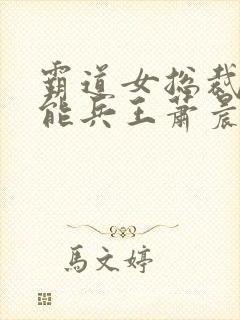 霸道女总裁的全能兵王萧晨