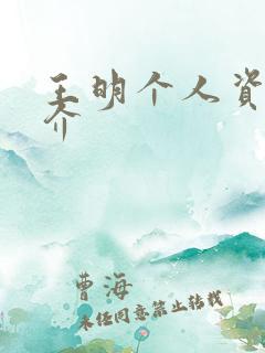 王明个人资料简介