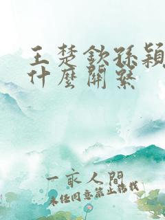 王楚钦孙颖莎是什么关系