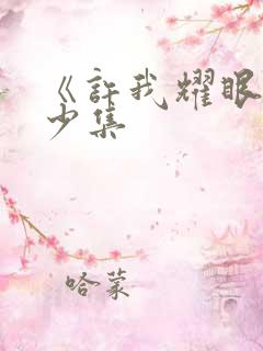 《许我耀眼》多少集