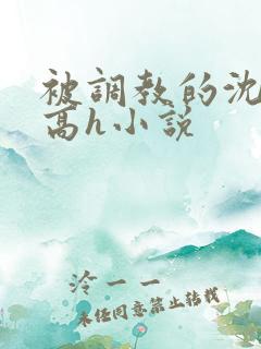 被调教的沈清清高h小说