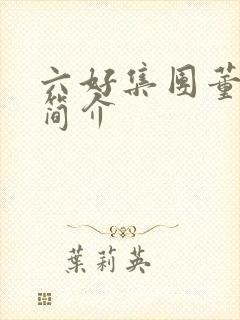 六好集团董事长简介