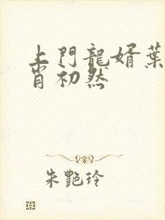 上门龙婿叶辰与肖初然