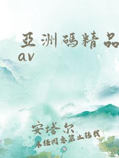 亚洲码精品人妻av