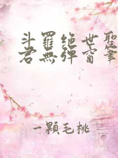 斗罗绝世圣邪帝君无弹窗笔趣阁