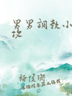 男男调教小说总攻