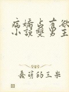 病娇占有欲强的小说双男主