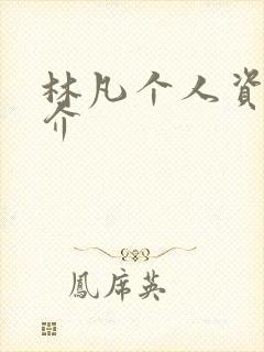 林凡个人资料简介