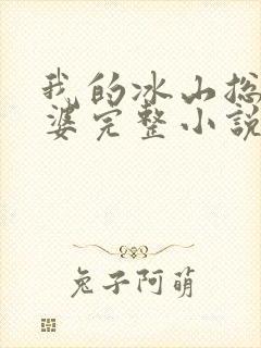 我的冰山总裁老婆完整小说