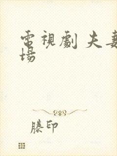 电视剧 夫妻一场