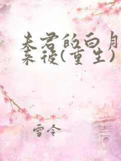 夫君的白月光回来后(重生)