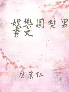 娱乐圈双男主选秀文