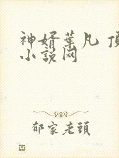 神婿叶凡 顶点小说网