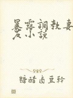 暴露调教妻子女友小说