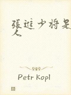 张进少将是哪里人