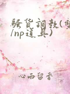 骚货调教(双性/np道具)