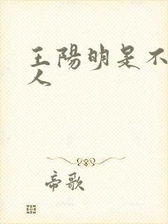 王阳明是不是圣人