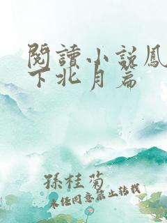 阅读小说凤逆天下北月篇