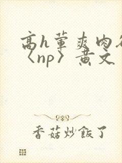 高h荤爽肉欲文〈np〉黄文