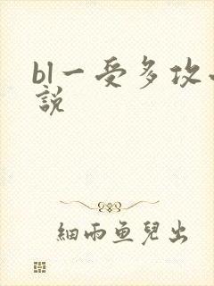 bl一受多攻小说