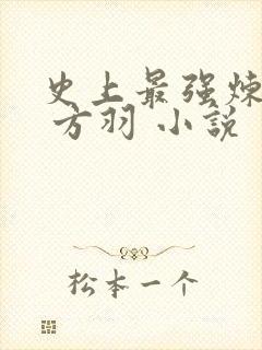 史上最强炼气期 方羽 小说