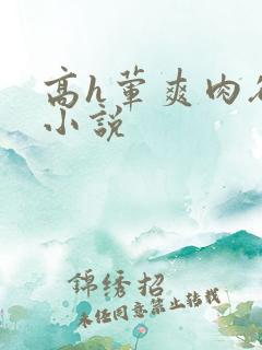 高h荤爽肉欲文小说