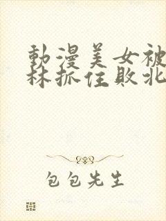 动漫美女被哥布林抓住败北