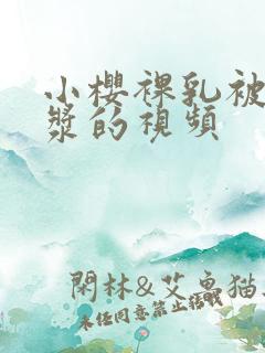 小樱裸乳被爆白浆的视频