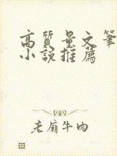 高质量文笔好的小说推荐