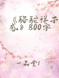 《骆驼祥子读后感》800字