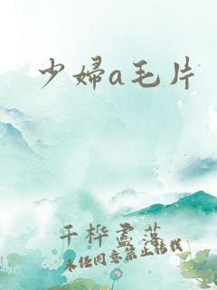 少妇a毛片