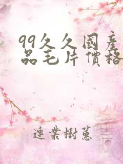 99久久国产精品毛片价格